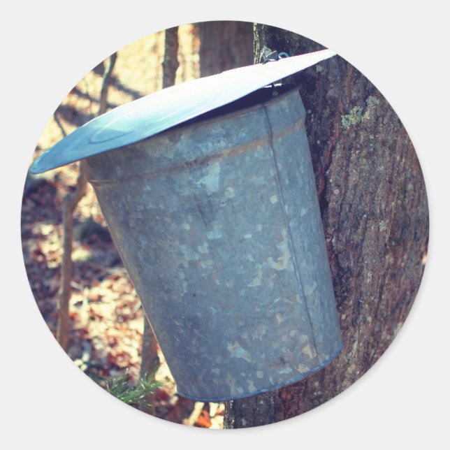 Maple Syrup Sap Bucket Nature  Classic Round Sticker (Front)