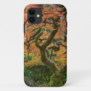 Maple Tree At The Japanese Gardens In Autumn iPhone 11 Case