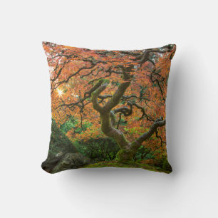 Maple Tree At The Japanese Gardens In Autumn Cushion
