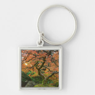 Maple Tree At The Japanese Gardens In Autumn Key Ring