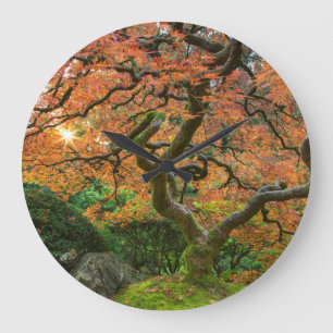 Maple Tree At The Japanese Gardens In Autumn Large Clock