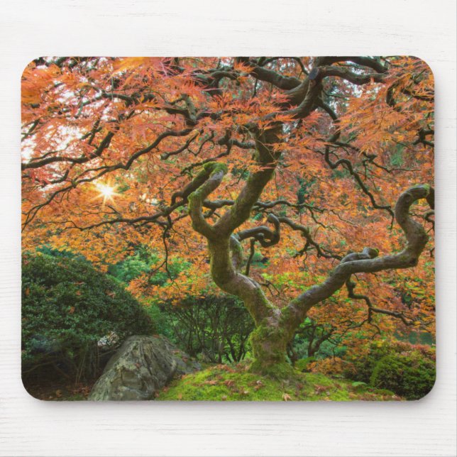 Maple Tree At The Japanese Gardens In Autumn Mouse Pad (Front)