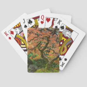 Maple Tree At The Japanese Gardens In Autumn Playing Cards