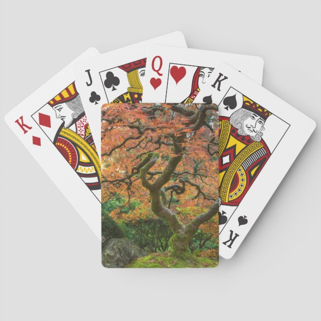 Maple Tree At The Japanese Gardens In Autumn Playing Cards (Back)