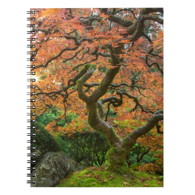 Maple Tree At The Japanese Gardens In Autumn Spiral Notebook (Front)
