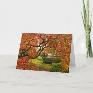 Maple Tree in Japanese Garden Photo Greeting Card