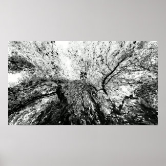 Maple Tree Inkblot Photograph Poster