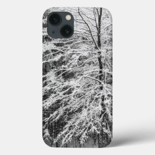 Maple Tree Outlined In Snow iPhone 13 Case