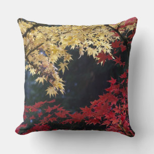 Maple trees in autumn colour cushion