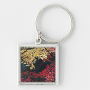Maple trees in autumn colour key ring