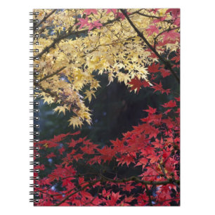 Maple trees in autumn colour spiral notebook