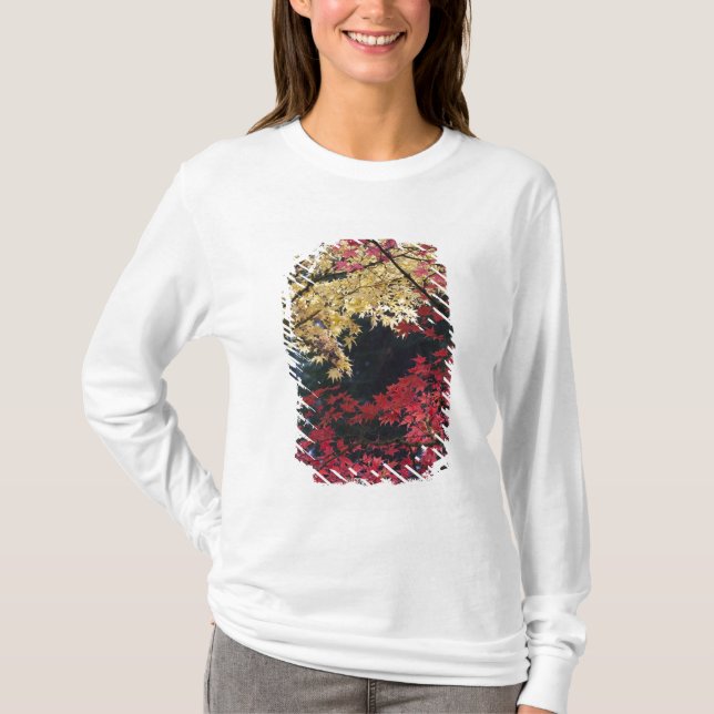 Maple trees in autumn colour T-Shirt (Front)