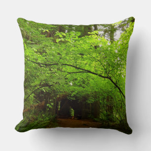 Maple Trees in Redwood Forest Cushion