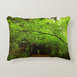 Maple Trees in Redwood Forest Decorative Cushion
