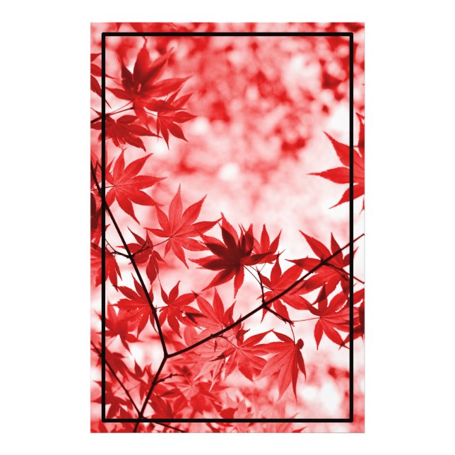 Maple Trees Leaves Design  Photo Print (Front)