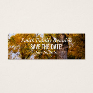 Maple Trees Reunion Save the Date