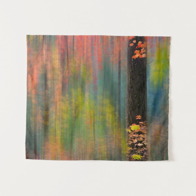 Maple Trees | Silver Falls State Park Tapestry (Front (Horizontal))