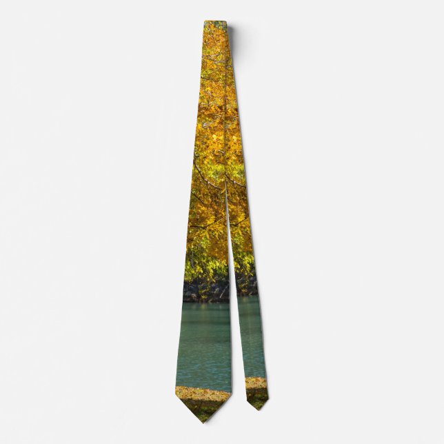Maple Umbrella Over Dogwood Creek Neck Tie (Front)