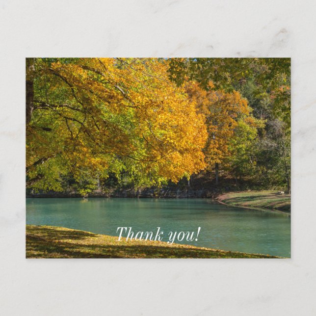 Maple Umbrella Over Dogwood Creek Postcard (Front)