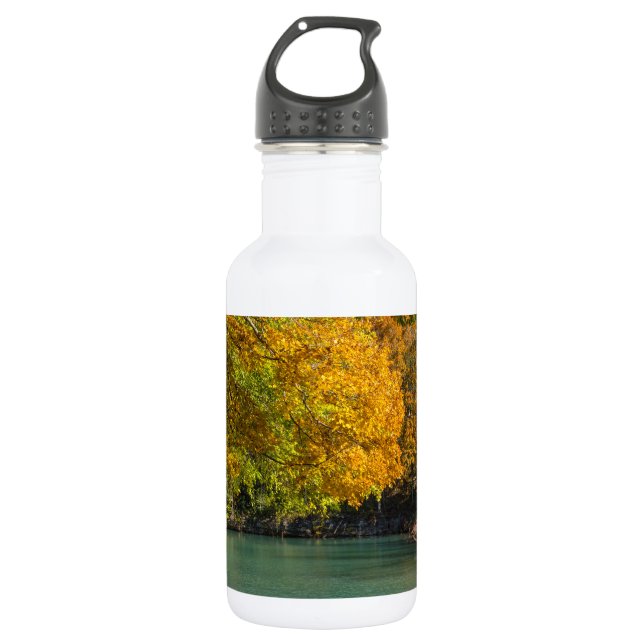 Maple Umbrella Over Dogwood Creek Stainless Steel  532 Ml Water Bottle (Front)