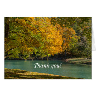 Maple Umbrella Over Dogwood Creek Thank You Card