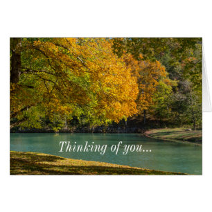Maple Umbrella Over Dogwood Creek Thinking Of You