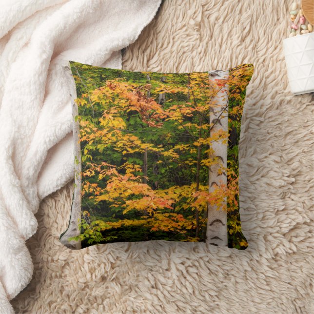 Maple & White Birch | White Mountains, NH Cushion (Blanket)
