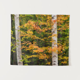 Maple & White Birch   White Mountains, NH Tapestry