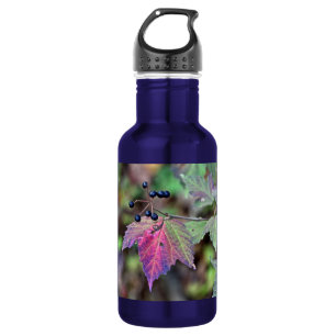 Mapleleaf Viburnum Autumn Leaves and Berries 532 Ml Water Bottle