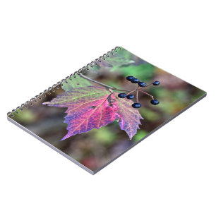 Mapleleaf Viburnum Autumn Leaves and Berries Spiral Notebook