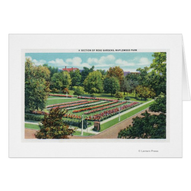 Maplewood Park Rose Garden View (Front Horizontal)