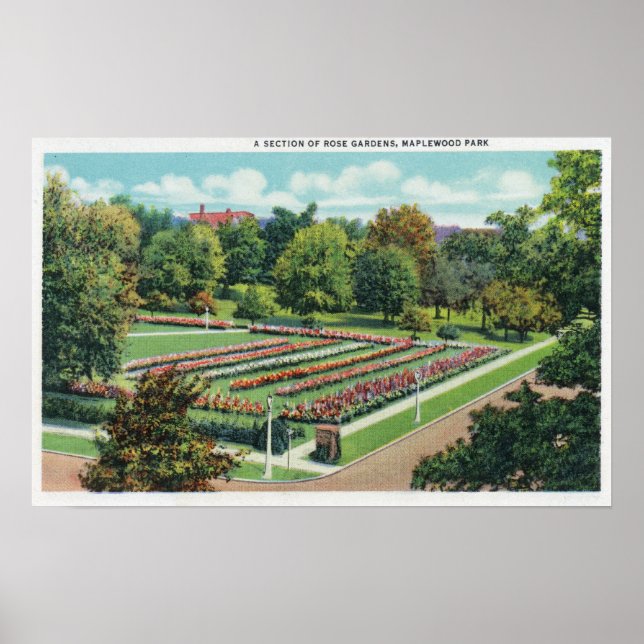 Maplewood Park Rose Garden View Poster (Front)