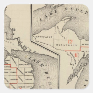 Maps showing the congressional districts square sticker