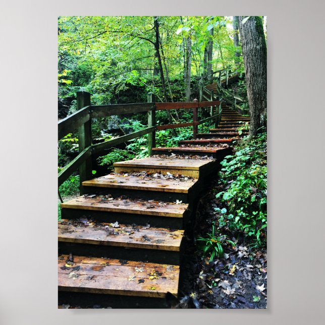 maquoketa caves state park staircase poster (Front)