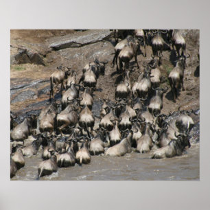 mara wilde beest poster