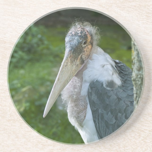 Marabou Coaster (Front)