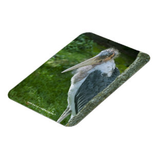 Marabou Magnet