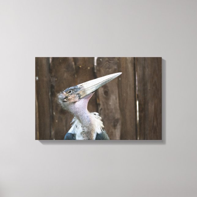 Marabou Stork Canvas Print (Front)