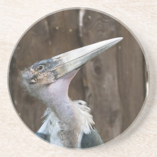 Marabou Stork Coaster
