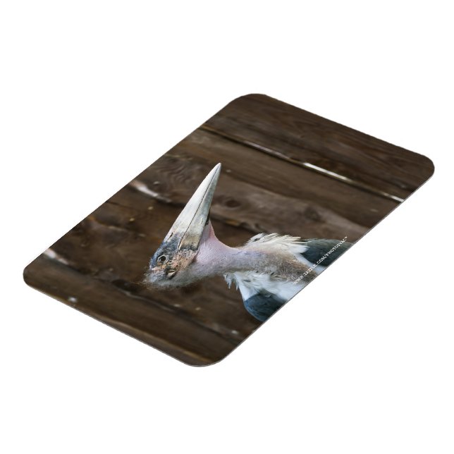 Marabou Stork Magnet (Left Side)
