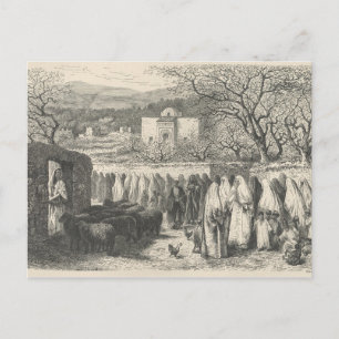 Marabout and Procession: Tlemcen Postcard
