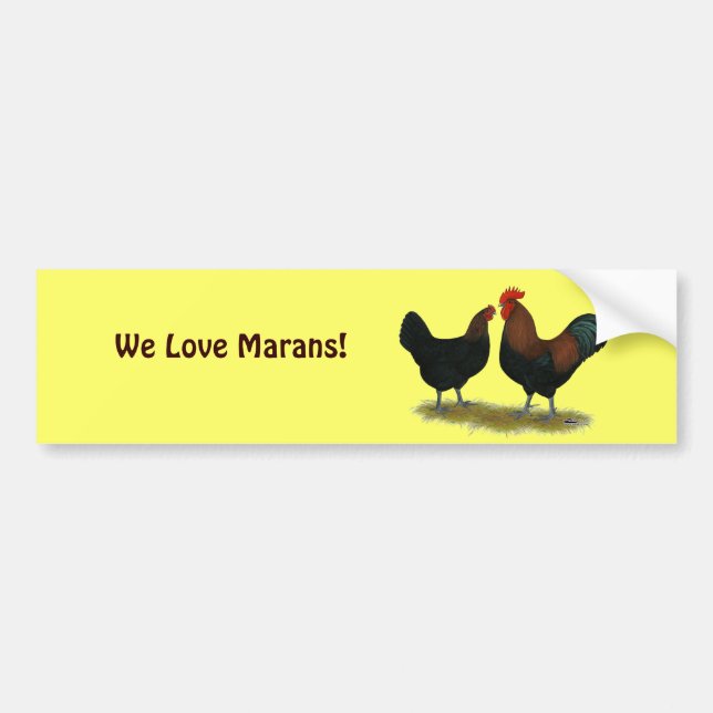 Marans Black Copper Bumper Sticker (Front)