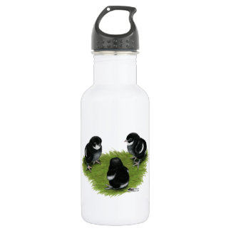 Marans Black Copper Chicks 532 Ml Water Bottle