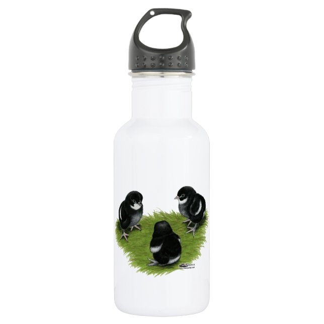 Marans Black Copper Chicks 532 Ml Water Bottle (Front)