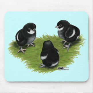 Marans Black Copper Chicks Mouse Pad
