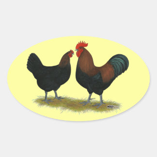 Marans Black Copper Oval Sticker