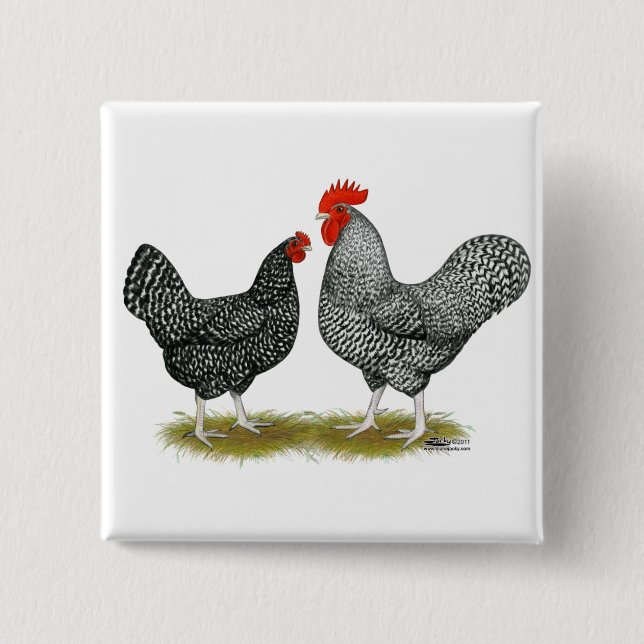 Marans:  Cuckoo Pair 15 Cm Square Badge (Front)