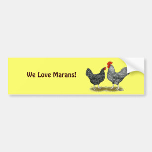Marans:  Cuckoo Pair Bumper Sticker