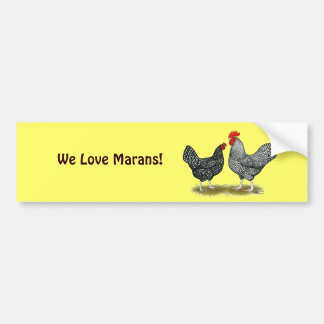 Marans:  Cuckoo Pair Bumper Sticker (Front)
