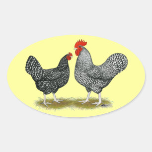 Marans: Cuckoo Pair Oval Sticker